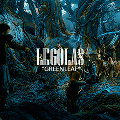 elvenking: As the son of the Elvenking Thranduil,                     