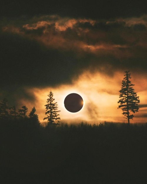 optically-aroused:    wesleygrim Totality  