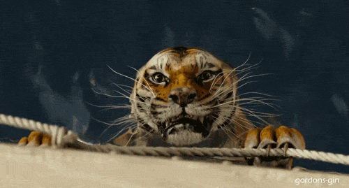 catandmaws:  Richard Parker (credits to: jjjoyful.tumblr.com) 
