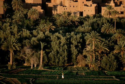 mysumb-blog: Town of Tineghir 1986. Morocco by Bruno Barbey