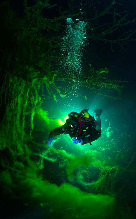 staceythinx:  Underwater photographer Viktor Lyagushkin captures divers under more than just water.  
