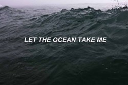 poemvs:    The Amity Affliction // Don’t