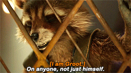 marvelgifs:This is an important conversation right now?