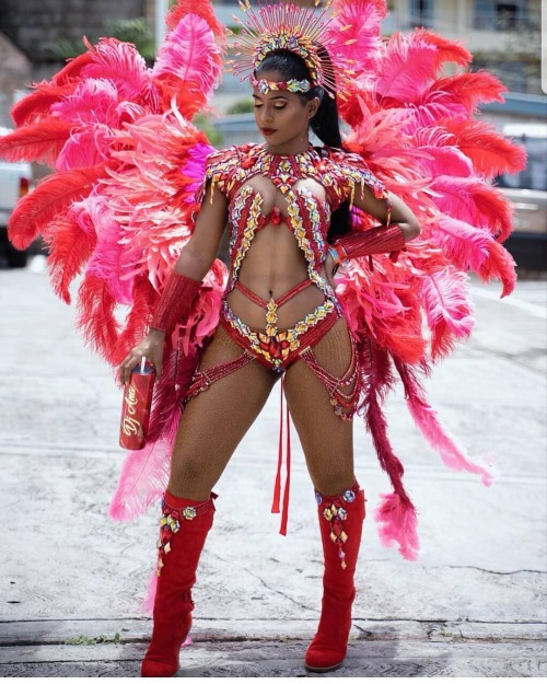 Carnaval Pics & Vids