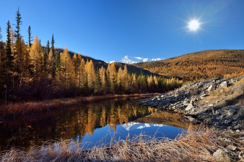 sublim-ature:  Altai Mountains, RussiaEd Gordeev  I could live here.