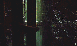  desolation of smaug + scenery porn      