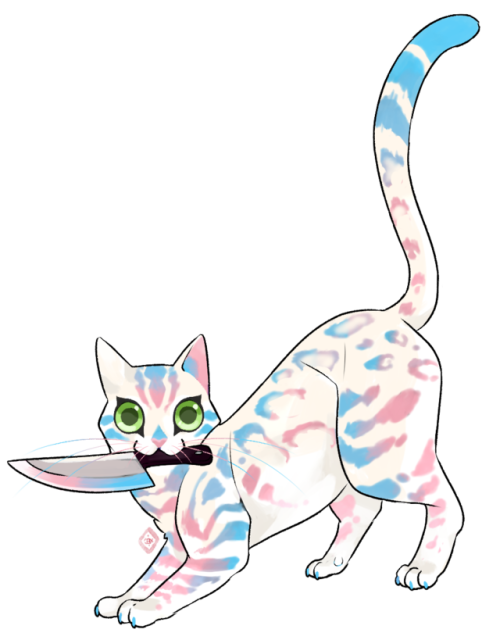 kairisk: Happy Pride Month Everyone!Cour 2 .・゜-: ✧ transparent pride flag cats with pride appropriat