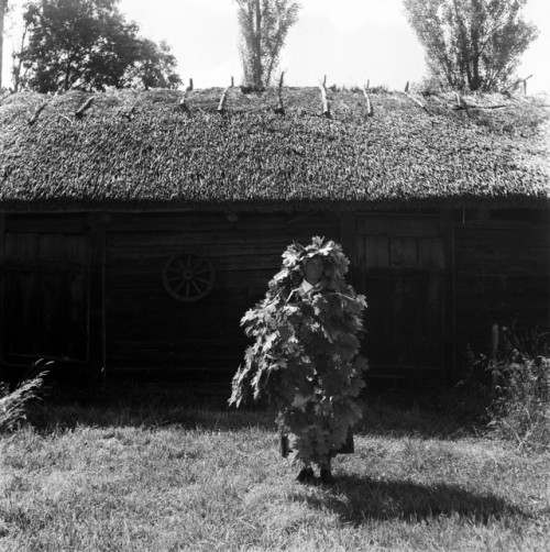 songs-of-the-east: Pagan Belarus. Photography project by Andrei Liankievich.Christmas, Strechannie