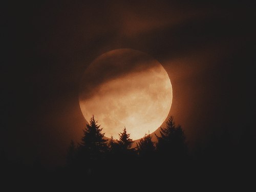 darkoctober:autumn moon magic 