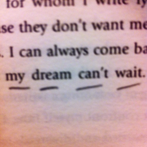 paulo coelho - the zahir