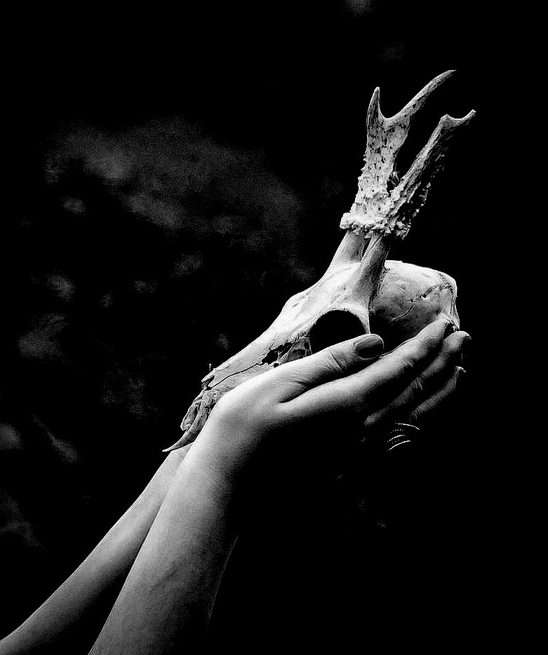 Possesed Soul