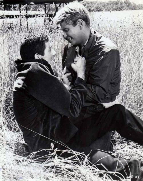 Troy Donahue &amp; Hampton Fancher in “Parrish,” 1961