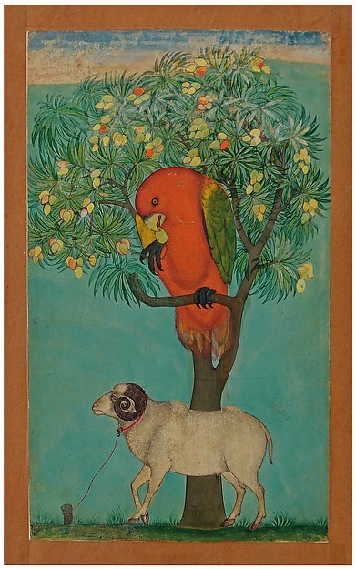 A Parrot Perched on a Mango Tree; a Ram Tethered BelowIllustrated manuscript, ca. 1630–70 / Ge