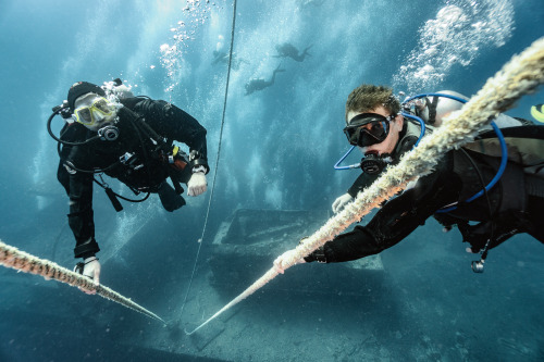 I spent a previous week on a liveaboard at the Red sea. We were exploring the world-class wreck divi