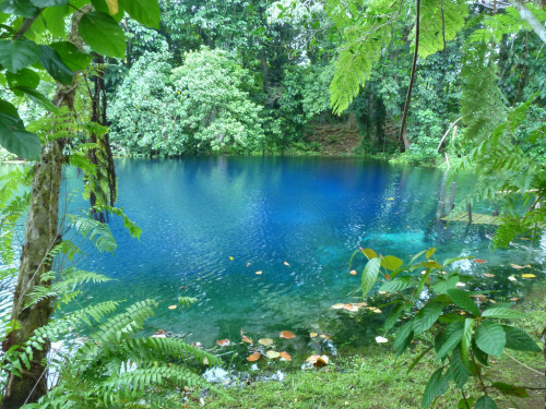 buddhabrot - Jackies Blue Hole, Vanuatu