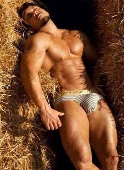 sunbound:  Let’s get naked and roll in that hay…
