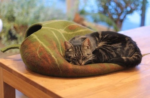 figdays:“Leaf” Cat Bed //elevele 