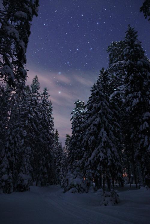 Under the big dipper by: Mikhail Reva