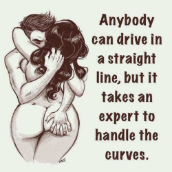 Seeking: expert driver. Must have experience handling curves.