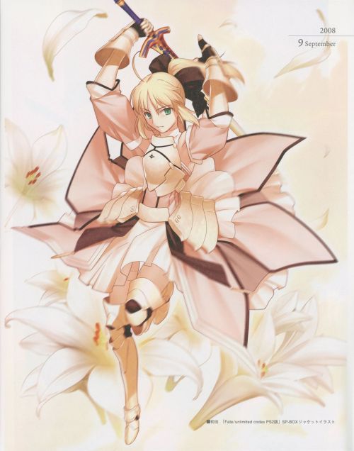 [TYPE-MOON] Fate/Art Chronicle Fate 10th Anniversary Art Book (Fate/stay night, Fate/hollow ataraxia)