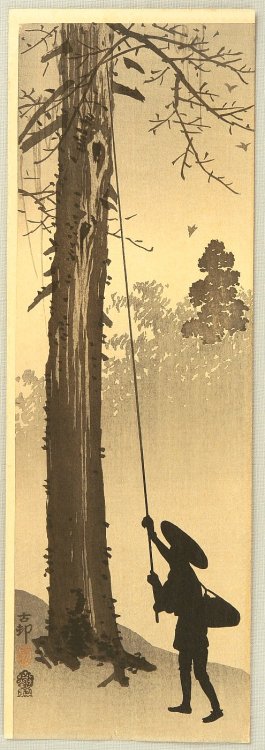 Man Harvesting Ginkgo Nuts, Ohara Koson, ca. 1910