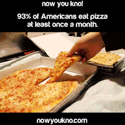 nowyoukno:  nowyoukno more about pizza More