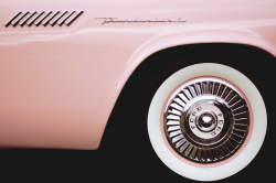 warpaintpeggy:  1957 T-bird details 