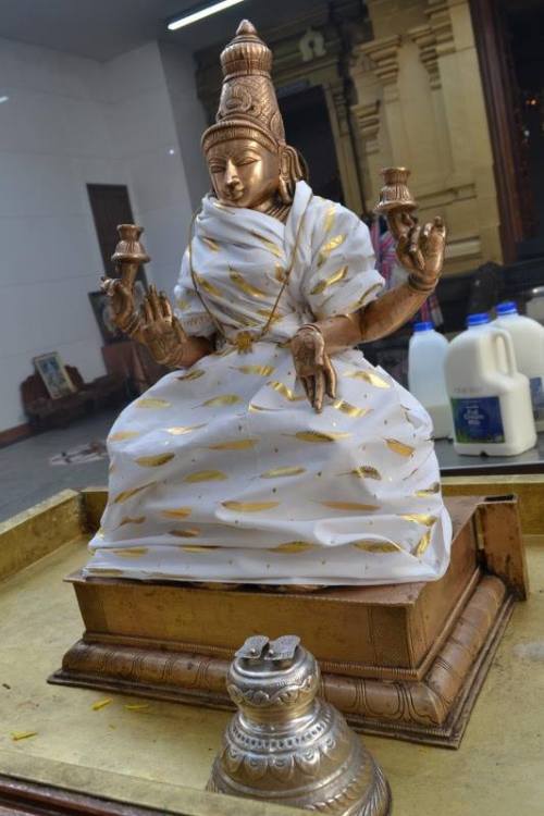 Lakshmi Devi abhisekha (sacred bath)