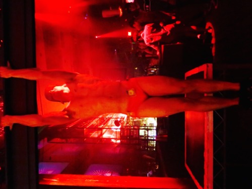 WEST HOLLYWOOD NIGHTS