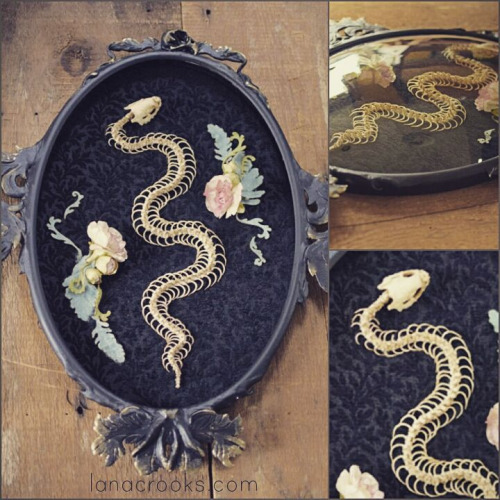 lustik:Lana Crooks Art. Etsy Shop Artists on tumblr