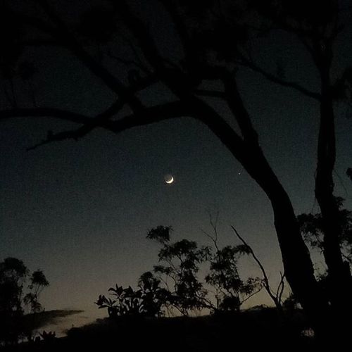 Mount Beerburrum, Queensland, AustraliaJAN-2017