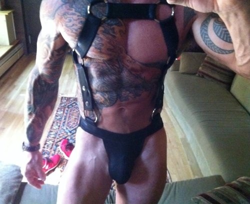 impressivedicktion:  Yes.. 