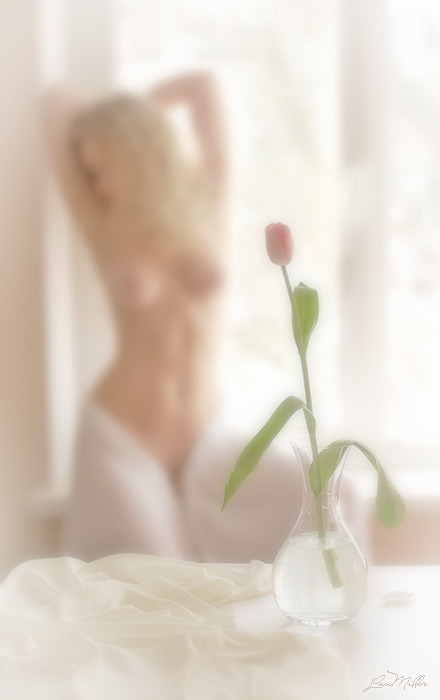 helycharlotte:  By Lan Miller 