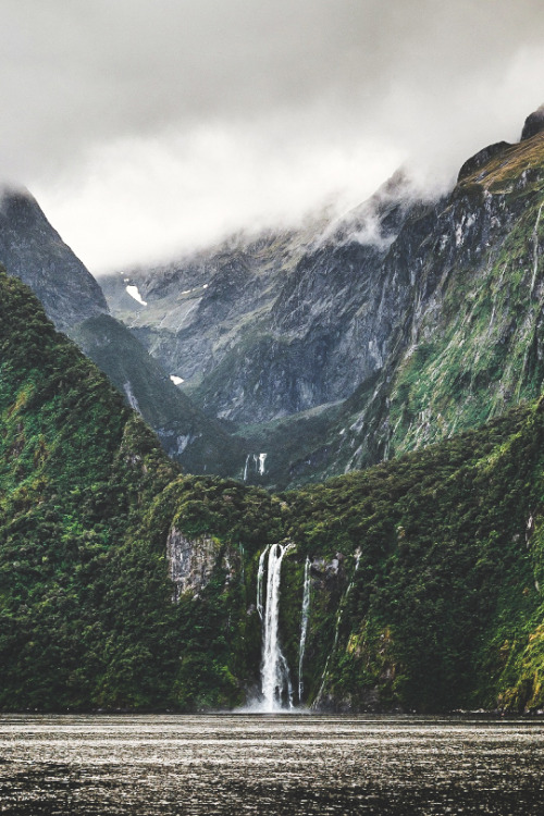 basdos:   Milford Sound   ❁❁ Calm and relaxing jungle blog ❁❁