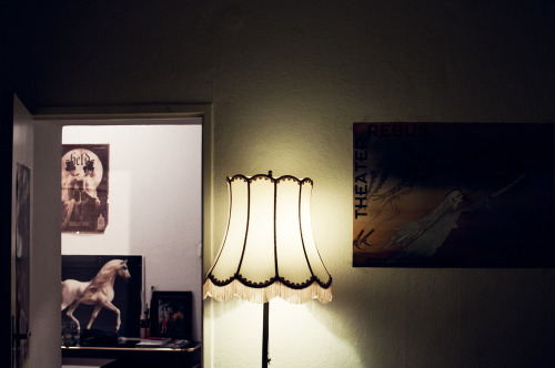 isabelleostlundphoto:  So I’ve fallen in love. In this lampshade, that stands in the room that I’m renting, here in Berlin. 