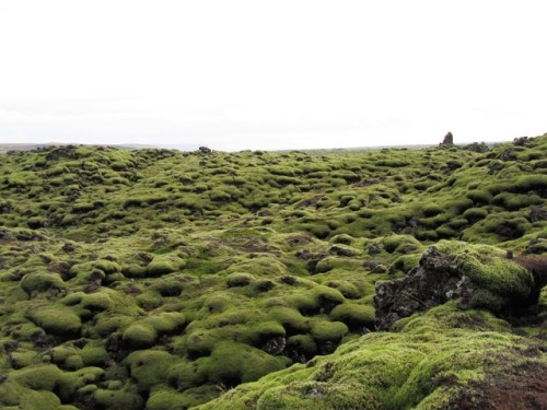 shortforesmerelda:Photography in Iceland