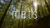 “Forest” in some Finnic languages: mets (Estonian), metsä (Finnish), mettsä (Ingrian), meččä (Karelian), mõtsā (Livonian), meččy...