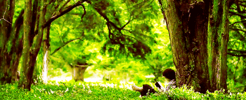 thorinds:“The road goes ever on and on down from the door where it began. Now far ahead the road has