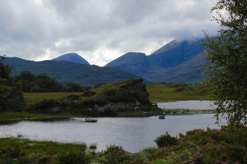 burningmine:Killarney National Park, Ireland