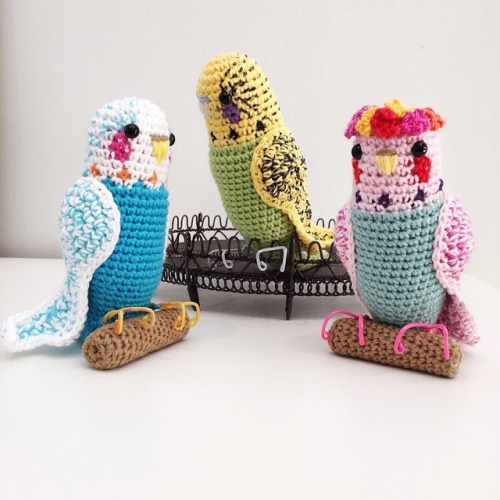 I&rsquo;ve been embellishing some budgies with embroidery and flowers.  #crochet #budgies #budge