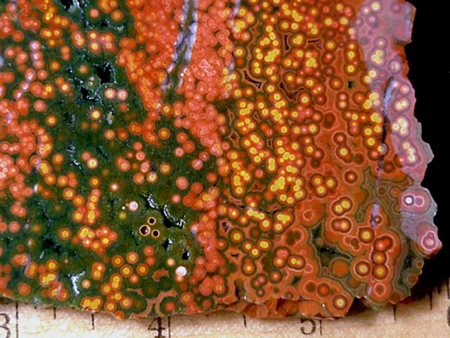 odditiesoflife:  The Mysterious Rediscovery of Ocean Jasper Ocean jasper is such