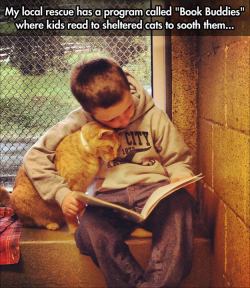 betterthandarkchocolate:  jackfrostciicle:  lodubimvloyaar:   Children Read To Shelter Cats To Soothe Them (Photos by Animal Rescue League Of Berks County. You can follow them on Facebook.)  Also good for the kids. They encourage having slow readers