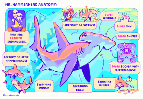 fabula-ultima:After quite a while, I finally managed to adapt these fun shark anatomy illustrations 