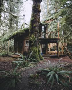 wild-cabins: Justin Kauffman