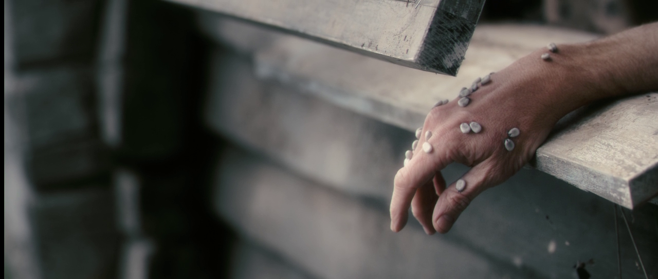 abderrahmane-sissako:  Antichrist (2009)