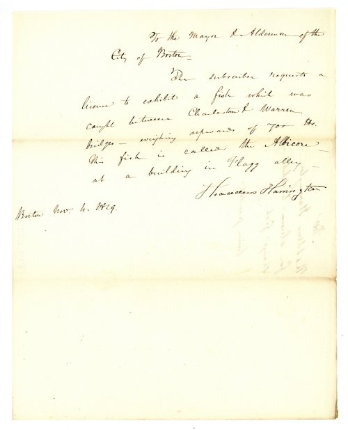 In 1829, a Bostonian caught a 700 lb fish between the Charlestown and Warren bridges. On November 4,