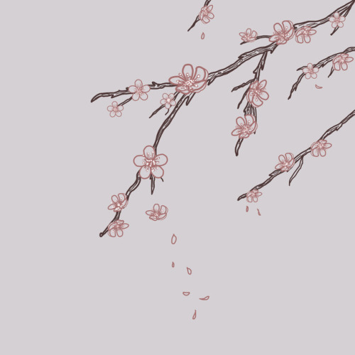 danofthebastille: cherry blossoms