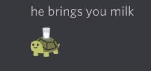 Blessed Turtle With Milk
