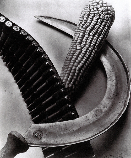 mondfaenger: Photo by Tina Modotti, Revolución y fotografía  Mexican Revolution Amo México 