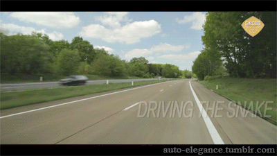 auto-elegance:  Driving the snake…Watch porn pictures
